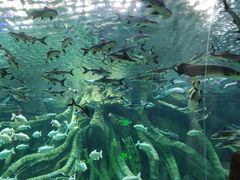 -波塞冬旅游度假区