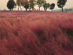 -汉长安城未央宫国家考古遗址公园