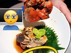 -打酱油·非遗淮扬菜(瘦西湖梅岭老店)
