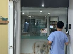 -谐和贝康宠物医院24小时·宠保定点(急重症转诊中心)