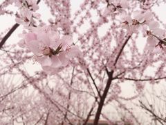 -中国科学院大学雁栖湖校区图书馆