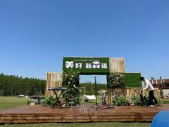 -黄海国家森林公园