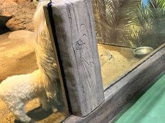 -苏州海洋馆
