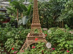 -南宫五洲植物乐园