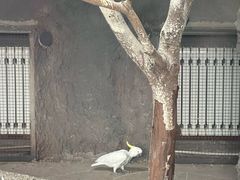 -武汉动物园