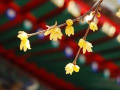 -颐和园