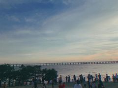 -宝安西湾红树林湿地公园