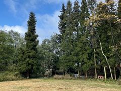 -重庆雨台山风景区