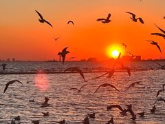 -老虎石海上公园