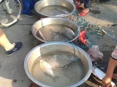 -巽寮印象美食部落餐厅·海鲜·地方特色菜(惠州体验店)