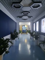 -丰联丽格医疗美容·联合丽格眼整形中心