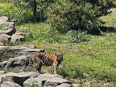 -北京野生动物园