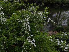 -杭州植物园