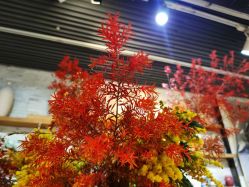 -今日陶艺(富力广场店)