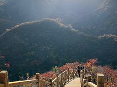 -水峪民俗村