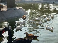 -珠海海泉湾神秘岛亲子乐园