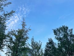 -shark burger·鲨鱼汉堡(交子大道店)