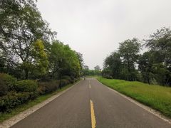 -张坝桂圆林公园