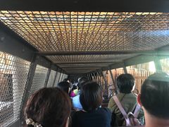 -疏芬山金矿