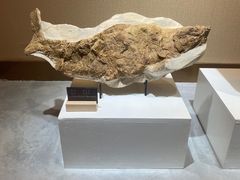 -抱璞文化展示中心