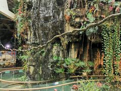 -正佳雨林生态植物园