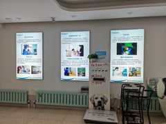 -北京观赏动物医院·24小时大型综合·猫专科·异宠专科