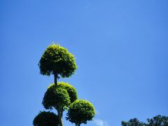 -刘伯温故里景区百丈漈