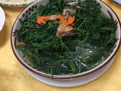 上汤浸桑叶-成惠食府(赤岗店)