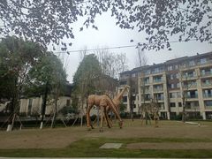 -海兰云天度假区温泉