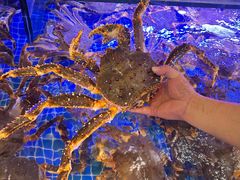 -驻海渔市(置信店)