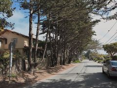 -卡梅尔海