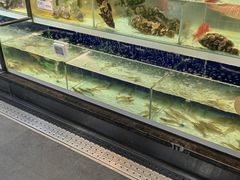 -盒马鲜生(新都心店)