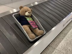 -上海浦东国际机场-T2航站楼