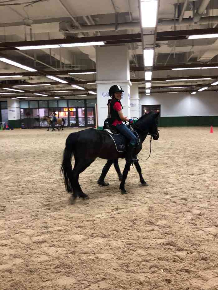 佳伯马术-"江宁金鹰里面听说还有可以学习骑马的地方,.