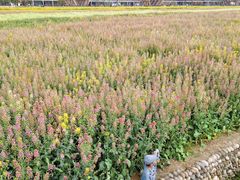 -中国天府农业博览园