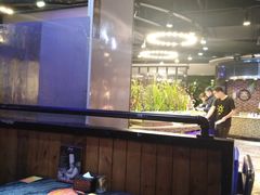 -吉布鲁牛排海鲜自助(芙蓉万家丽店)