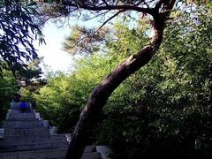 -青岛崂山太清宫