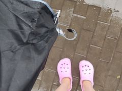 -中关村茶点