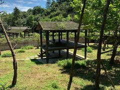 -中国大熊猫保护研究中心雅安碧峰峡基地