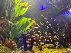 -沈阳海洋探索中心