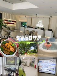 -森宝月子中心(白云山店)