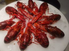 冰镇酒醉小龙虾-红盔甲·小龙虾(天钥桥店)