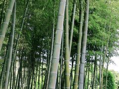 -龙寺生态园
