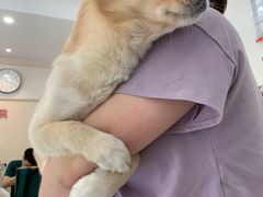 -瑞派康怡24h宠物医院·犬猫医疗中心·微创绝育(瑞景分院)