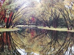 -共青国家森林公园-售票处