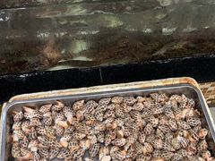 -沙田台山海鲜·酣客酒窖