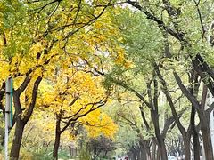 -元大都城垣遗址公园