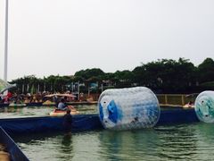 -碧海金沙