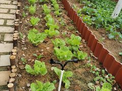 -厦门市蔡塘学校