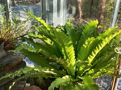 -国家植物园南园